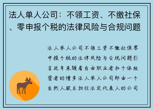 法人单人公司：不领工资、不缴社保、零申报个税的法律风险与合规问题