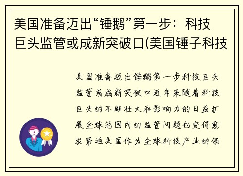 美国准备迈出“锤鹅”第一步：科技巨头监管或成新突破口(美国锤子科技有限公司)